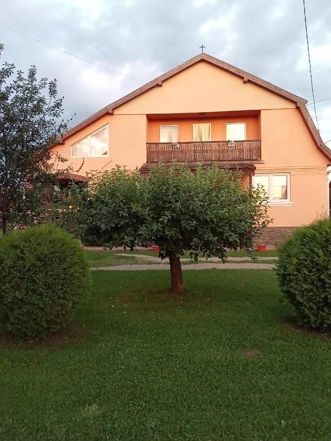 Timi Kulcsoshaz Hotel Lăzarea Buitenkant foto