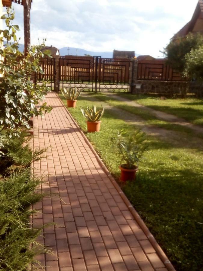 Timi Kulcsoshaz Hotel Lăzarea Buitenkant foto